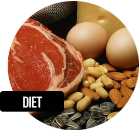 Diet