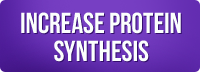 increase protein synthesis